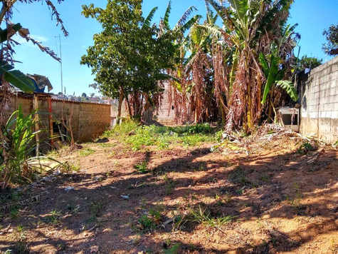 Venda Terreno Suzano Palmeiras De São Paulo 1