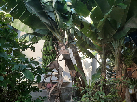 Venda Casa térrea São Paulo Vila Albertina 1