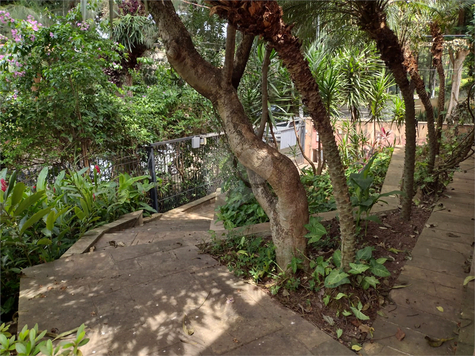 Venda Casa São Paulo Vila Madalena 1