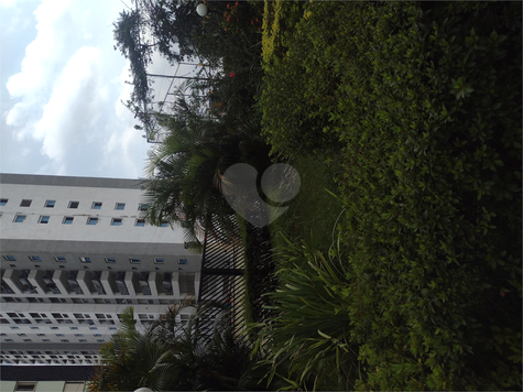 Venda Apartamento Guarulhos Gopoúva 1