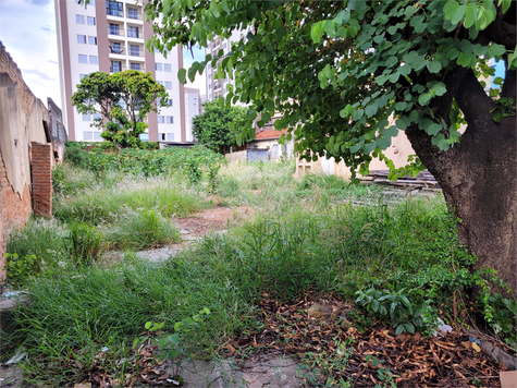 Venda Terreno São Paulo Casa Verde 1