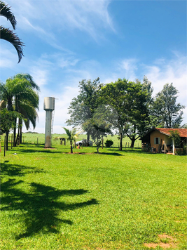 Venda Sítio Lençóis Paulista Área Rural De Lençóis Paulista 1