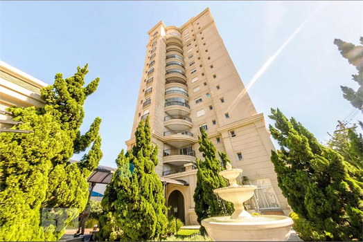 Aluguel Apartamento Campinas Cambuí 1