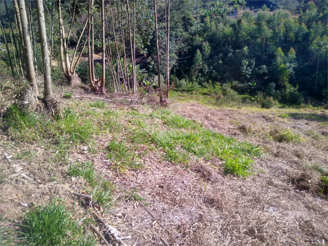Venda Área de Terra Nazaré Paulista Centro 1