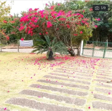 Venda Terreno Atibaia Estância Santa Maria Do Portão 1