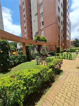 Venda Apartamento São Paulo Cambuci 1