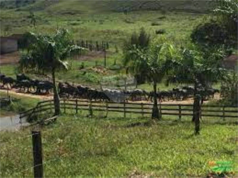 Venda Fazenda Sete Barras Centro 1