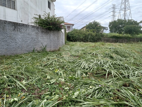 Venda Terreno São Paulo Vila Clarice 1