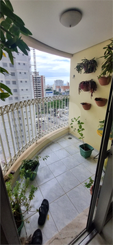 Venda Apartamento São Paulo Vila Azevedo 1