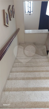 Aluguel Apartamento Guarujá Jardim Las Palmas 1