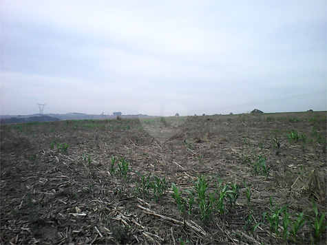 Venda Área de Terra Sumaré Área Rural De Sumaré 1