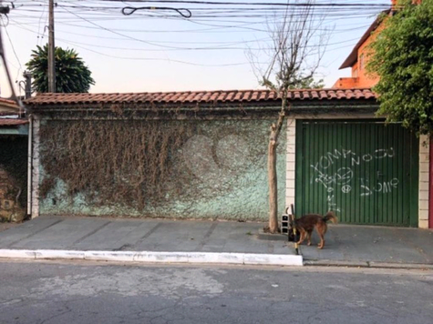 Venda Terreno São Paulo Jardim Pouso Alegre 1