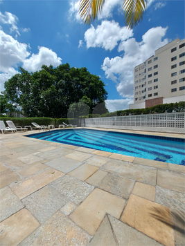 Venda Apartamento São Paulo Vila Monte Alegre 1