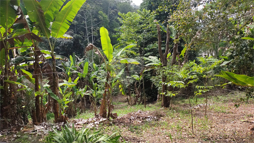 Venda Terreno Niterói Badu 1