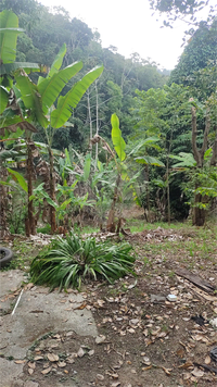Venda Terreno Niterói Badu 1