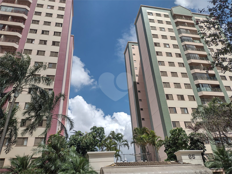 Venda Apartamento Campinas Jardim Aurélia 1