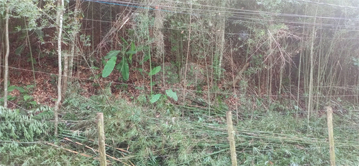 Venda Área de Terra Niterói Muriqui 1