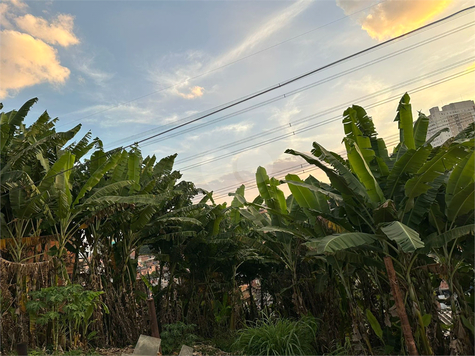 Venda Terreno São Paulo Parque Reboucas 1
