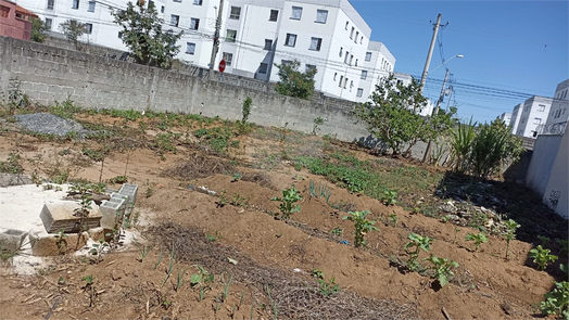 Venda Terreno Taubaté Residencial Novo Horizonte 1