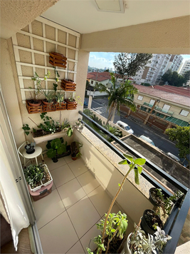 Venda Apartamento São Paulo Jardim Cidade Pirituba 1