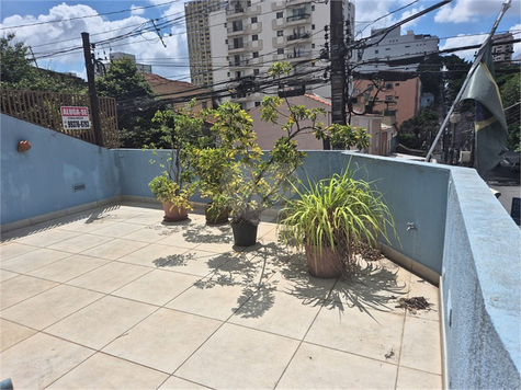 Aluguel Casa São Paulo Sumaré 1