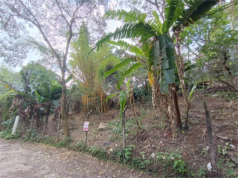 Venda Terreno São Paulo Vila Amélia 1