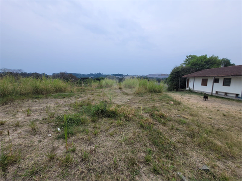 Venda Terreno Araucária Thomaz Coelho 1