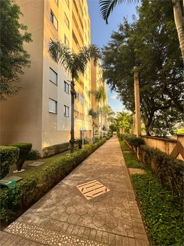 Venda Apartamento São Paulo Jardim Santa Emília 1