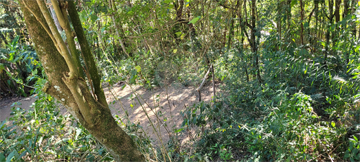 Venda Terreno Mairiporã Roseira 1