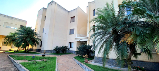 Venda Apartamento Ribeirão Preto Independência 1