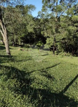 Venda Área de Terra São Roque Alto Da Serra (mailasqui) 1