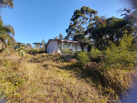 Venda Terreno São José Dos Pinhais Roseira De São Sebastião 1