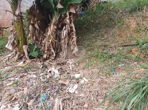 Venda Terreno São Paulo Vila Indiana 1