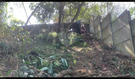 Venda Terreno São Paulo Jardim Peri Peri 1