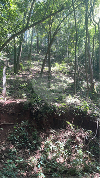 Venda Terreno Atibaia Atibaia Belvedere 1