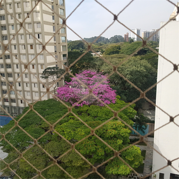 Aluguel Apartamento São Paulo Santo Amaro 1