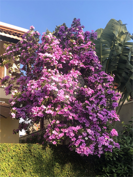 Venda Sobrado São Paulo Jardim Peri 1