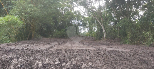 Venda Terreno Peruíbe Parque Balneário Oasis 1